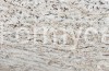 Ivory Brown Shivakashi 2 cm.jpg