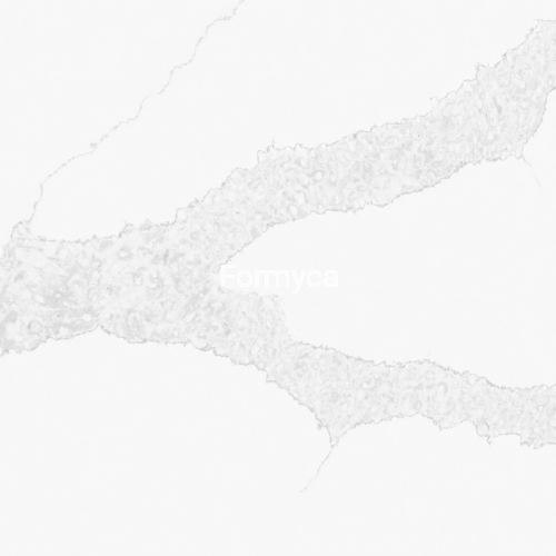 4166 square.png